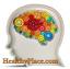 सूक्ष्म मस्तिष्क सर्किट असामान्यताओं ADHD में पुष्टि की