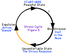 कुछ तनाव चक्र दूसरों की तुलना में आसान होते हैं।