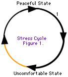 तनाव का चक्र एक शांतिपूर्ण स्थिति से असहज स्थिति में और एक शांतिपूर्ण स्थिति में वापस आ रहा है