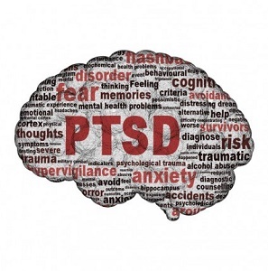 ट्रामा PTSD विकसित करने वाले लोगों में मस्तिष्क को अलग तरह से प्रभावित करता है। लेकिन चिंता मत करो, वसूली होती है। ट्रॉमा का सामना करने के दौरान जानें कि पीटीएसडी पीड़ितों का दिमाग कैसे काम करता है। 