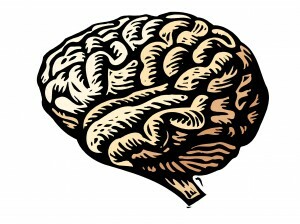 आघात आपके मस्तिष्क को प्रभावित करता है, लेकिन PTSD को ठीक करने की संभावना पहले से कहीं अधिक है। जानें कि आघात मस्तिष्क को कैसे प्रभावित करता है और न्यूरोप्लास्टिक आपको ठीक होने में कैसे मदद करता है। इसे पढ़ें।
