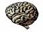 आघात आपके मस्तिष्क को प्रभावित करता है लेकिन पीटीएसडी ठीक हो सकता है